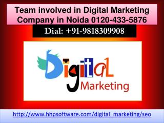 Team involved in Digital Marketing Company in Noida 0120-433-5876