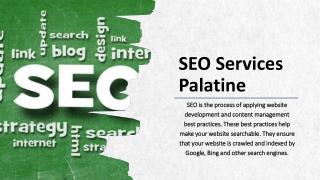 SEO Services Palatine