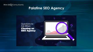 Palatine SEO Agency