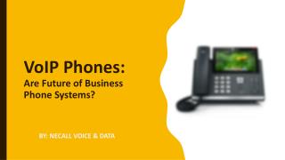 VoIP Phones - The Future of Business Telephone Systems?