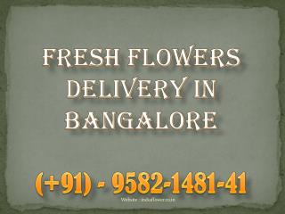 Fresh Flowers Delivery In Bangalore | 9582-1481-41