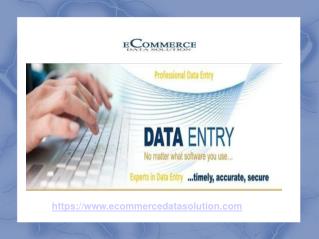 Ecommerce Data Solution - Data Entry Services Provider Company India