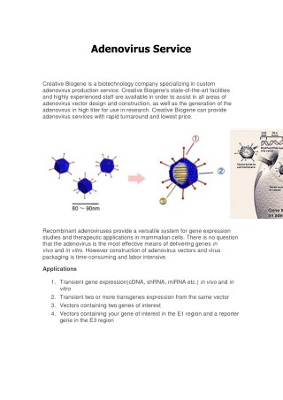 Adenovirus Service