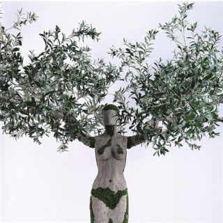 Artificial Silk Olive Tree