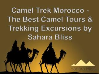 Camel Trek Morocco - The Best Camel Tours & Trekking Excursions by Sahara Bliss