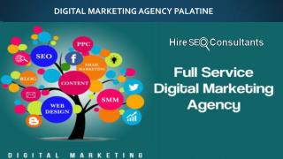 Digital marketing agency Palatine