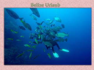 Belize Urlaub