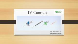 IV Cannula