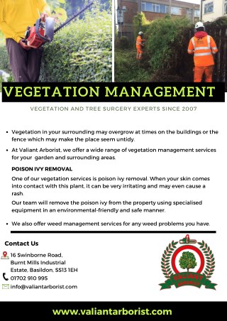 Vegetation Management - Valiant Arborist Ltd