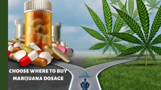 Choose Where to Buy Marijuana Dosage