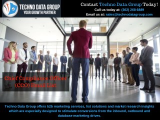 CCO Email Lists | CCO Mailing Lists | CCO Email Database