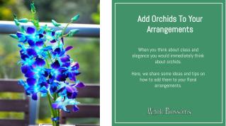 Get the Most Classy Orchid Flower for Your Wedding Theme