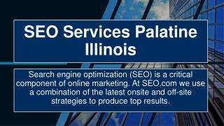 SEO Services Palatine Illinois