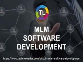 MlM Software Development Company