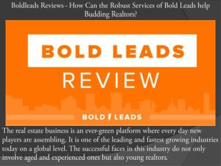 Boldleads Reviews - How Can the Robust Services of Bold Leads help Budding Realtors?