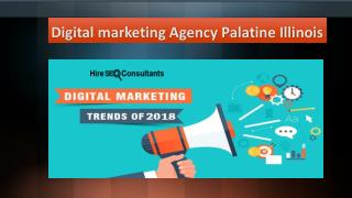 Digital Marketing Agency Palatine Illinois