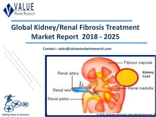 Kidney/Renal Fibrosis Treatment Market - Industry Research Report 2018-2025, Globally