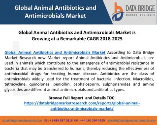 Global Animal Antibiotics and Antimicrobials Market According to Data Bridge Market Research new Market report, “By Prod