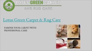 Rug Cleaning Washington DC | Lotus Green Carpet & Rug Care