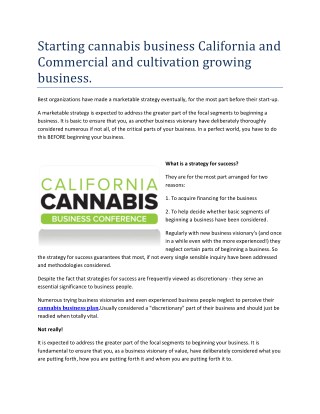 Cannabis business ideas