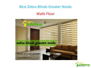 Best Zebra Blinds Greater Noida