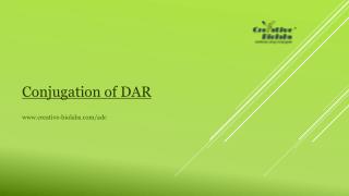 conjugation of dar