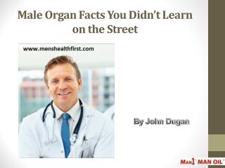 Male Organ Facts You Didn’t Learn on the Street