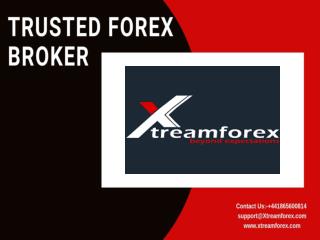 Read About Top Online Forex Brokers