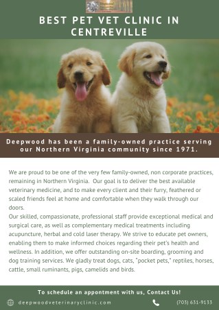 Best Pet Vet Clinic In Centreville