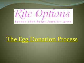 The Egg Donation Process