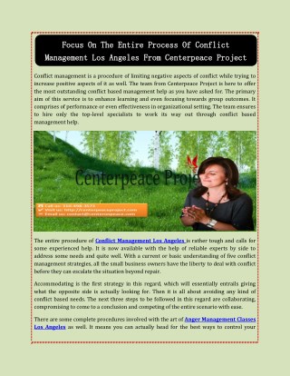 Focus On The Entire Process Of Conflict Management Los Angeles From Centerpeace Project