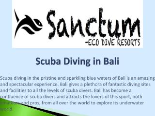 Scuba Diving in Bali