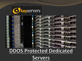 DDos Protected Dedicated Servers