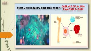 Stem Cell Market | CAGR of 9.0% to 10% From 2019 to 2024”
