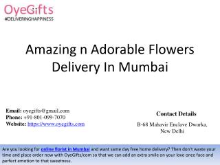 One of The Fastest Flowers Delivery In Mumbai