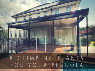 Climbing Plants for Your Pergola or Outdoor Decking