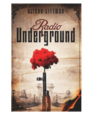 [Read Book] Radio Underground By Alison Littman