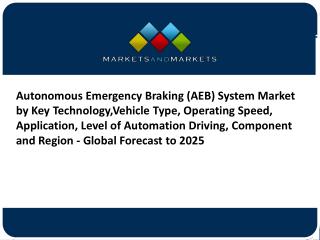 Autonomous Emergency Braking System Market,Size,Share (2020 to 2025)