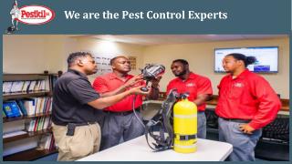 Eradicate Pest Infestation in an Environmentally-responsive Way