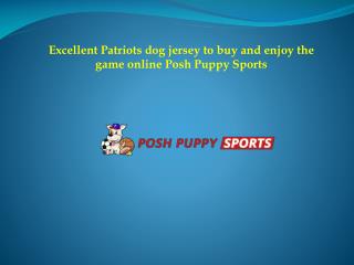 Excellent Patriots dog jersey to buy and enjoy the game online Posh Puppy Sports