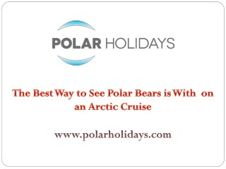 The Best Way to See Polar Bears is With on an Arctic Cruise