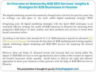 An Overview on Noteworthy B2B SEO Services’ Insights & Strategies for B2B Businesses in Houston