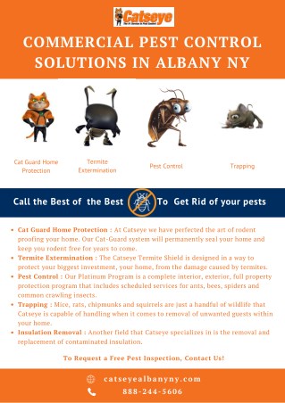 Commercial Pest Control Solutions In Albany NY