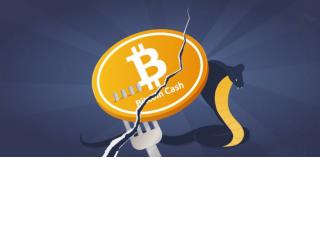 How bitcoin capacities?