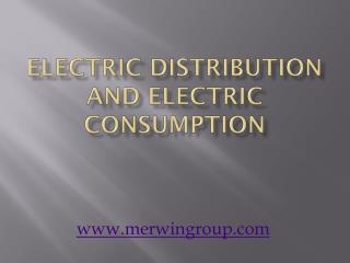 Electric Distribution and Electric Consumption - www.merwingroup.com