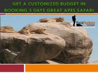 Get a customized Budget in Booking 5 Days Great Apes Safari