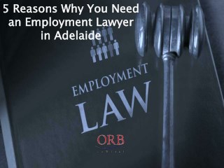 5 Reasons Why You Need an Employment Lawyer in Adelaide