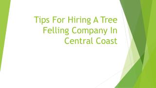 Tips For Hiring A Tree Felling Company In Central Coast