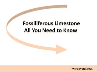 Fossiliferous Limestone  All You Need to Know