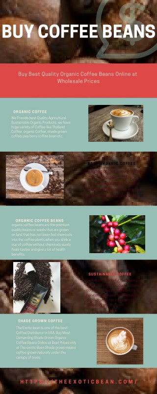 Buy Coffee Beans Online